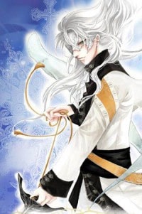 海賊王之盜帥
