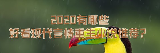 2020有哪些好看現代言情重生小說推薦？